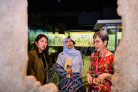 LAWATAN KERJA JKPK WANITA PARLIMEN KE JMM, MN & MTN