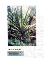 PAMERAN TEROKAI HANTU 2002 (JILID 3)