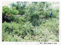 ARKEOLOGI SG. MAS, KEDAH SM: 32/ 2001/ 1-251 (JILID 1)