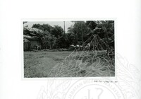 ARKEOLOGI SG. MAS, KEDAH SM : 32-3 / 93 VOL : 9 HP