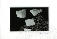 ARKEOLOGI SG. MAS, KEDAH SM : 32-3/93 VOL : 9 HP