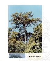 PAMERAN TEROKAI HANTU 2002 (JILID 3)