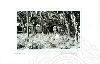 ARKEOLOGI SG. MAS, KEDAH SM, 32-4,93 VOL,3 HP FASA 4 LOKASI, POKOK, LAWATAN, CERAMAH, AKTIVITI - HITAM/ PUTIH. HASSAN