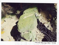 BANGUNAN MUZIUM ARKEOLOGI LEMBAH BUJANG KEDAH - JILID 4