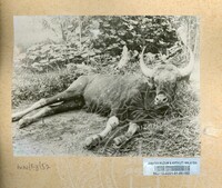 SEJARAH KOLEKSI JOHOR