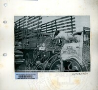 BAHAN PAMERAN DURIAN RAJA SEGALA BUAH