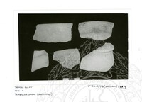 ARKEOLOGI SG. MAS, KEDAH SM: 32-5/ 93 (ARTIFAK) (HITAM PUTIH)