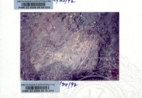 KOLEKSI PAMERAN ARKEOLOGI