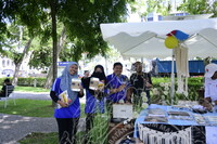 HMA 2024 - SPEED DATING WITH MUSEUM PRACTITIONERS