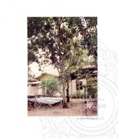 ARKEOLOGI SG. MAS, KEDAH SM: 32-4/ 93 VOL: 3 W