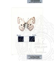 ALAM SEMULAJADI RAMA-RAMA JILID 1