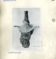 BAHAN PURBA LEMBAH BUJANG, KEDAH 1 (ETNOLOGI)