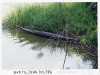 SURVEI KAWASAN SEKITAR TASIK CHINI DAN PENEMPATAN PENDUDUK ORANG ASLI YANG MENGHUNI SEKITAR KAWASANNYA PADA 27 OKTOBER 2002