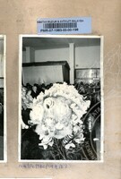 BAHAN PAMERAN TAHUN BARU CINA 1983