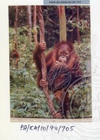 PAMERAN KEINDAHAN ALAM 1994 3