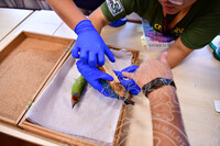 HMA2023 - CURATOR CRASH COURSE DI ARTS AND CRAFTS GALLERY, BCM