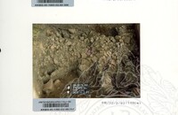 ARKEOLOGI SUNGAI MAS KEDAH 1993 FASA 2 W JILID 2