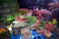 HMA 2025- 24.7.2025 - SEKITAR RERUAI PAMERAN, PANEL BY PANEL DAN CROWD