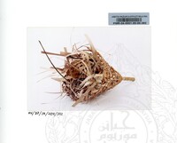 BAHAN PAMERAN ORANG ASLI JILID 2