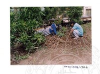 ARKEOLOGI SG. MAS, KEDAH SM: 32-5/ 93 VOL: 3 W