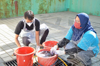 BENGKEL TIE & DYE PUSPANITA JMM