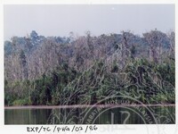 SURVEI KAWASAN SEKITAR TASIK CHINI DAN PENEMPATAN PENDUDUK ORANG ASLI YANG MENGHUNI SEKITAR KAWASANNYA PADA 27 OKTOBER 2002