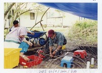 ARKEOLOGI SG. MAS, KEDAH SM : 32-9/2000 (JILID 3)