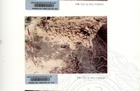 ARKEOLOGI SUNGAI MAS KEDAH 1993 FASA 2 W JILID 2