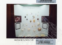 PAMERAN BALAI ILMU KEJADIAN 2002 BALAI C