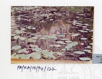 PAMERAN KEINDAHAN ALAM 1994