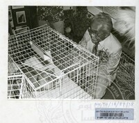 PERASMIAN PAMERAN KEHEBATAN KUCING 1987 