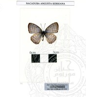 ALAM SEMULAJADI RAMA-RAMA JILID 1