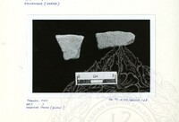 ARKEOLOGI SG. MAS, KEDAH SM: 32-4/ 93 VOL: 4 HP