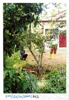 ARKEOLOGI SG, MAS, KEDAH  SM: 32-14/ 2000 (JILID 3)