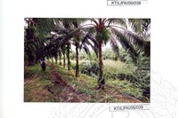 ARKEOLOGI TAMPAN, LENGGONG, PERAK JILID 4