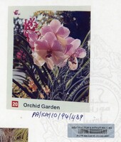 PAMERAN KEINDAHAN ALAM 1994 (2)