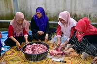 PROGRAM QURBAN JMM