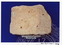 ARKEOLOGI SG. MAS, KEDAH SM : 32 / 2001 / 252 - 498 (JILID 2)