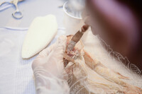 BENGKEL TAKSIDERMI IKAN