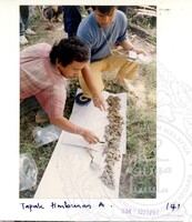 ARKEOLOGI SG. MAS, KEDAH SM: 32-5/ 93 VOL: 1 W