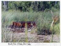 SURVEI KAWASAN SEKITAR TASIK CHINI DAN PENEMPATAN PENDUDUK ORANG ASLI YANG MENGHUNI SEKITAR KAWASANNYA PADA 27 OKTOBER 2002