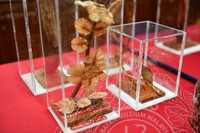 BICARA MUZIUM ALAM SEMULA JADI (KEUNIKAN MUATIARA HUTAN)