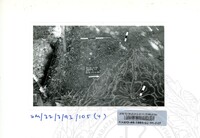 ARKEOLOGI SG. MAS, KEDAH SM : 32-3/93 VOL : 6 HP