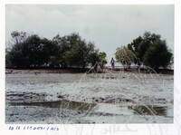 ARKEOLOGI EKSPLORASI L. BERNAM 2001 JILID 2