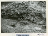 ARKEOLOGI BENDANG DALAM TPK 50 1974