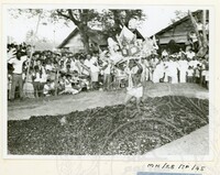 PERAYAAN THAIPUSAM JILID 2
