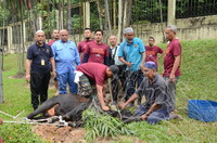 PROGRAM IBADAH QURBAN DAN AQIQAH 1440H 2019