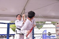 HMA 2025- 26.7.2025 -  PERTUNJUKAN TAEKWONDO