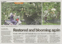 The Star_03-June-2020_ms 16_Restored and blooming again