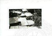 ARKEOLOGI SG. MAS, KEDAH SM, 32-4,93 VOL,3 HP FASA 4 LOKASI, POKOK, LAWATAN, CERAMAH, AKTIVITI - HITAM/ PUTIH. HASSAN